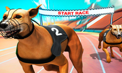 Dog Racing img