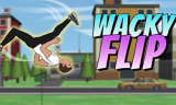 Wacky Flip background